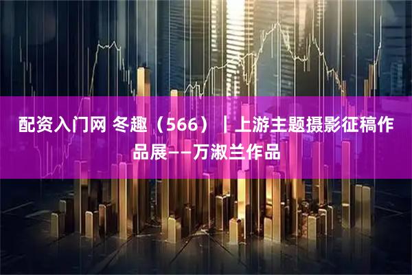 配资入门网 冬趣（566）｜上游主题摄影征稿作品展——万淑兰作品